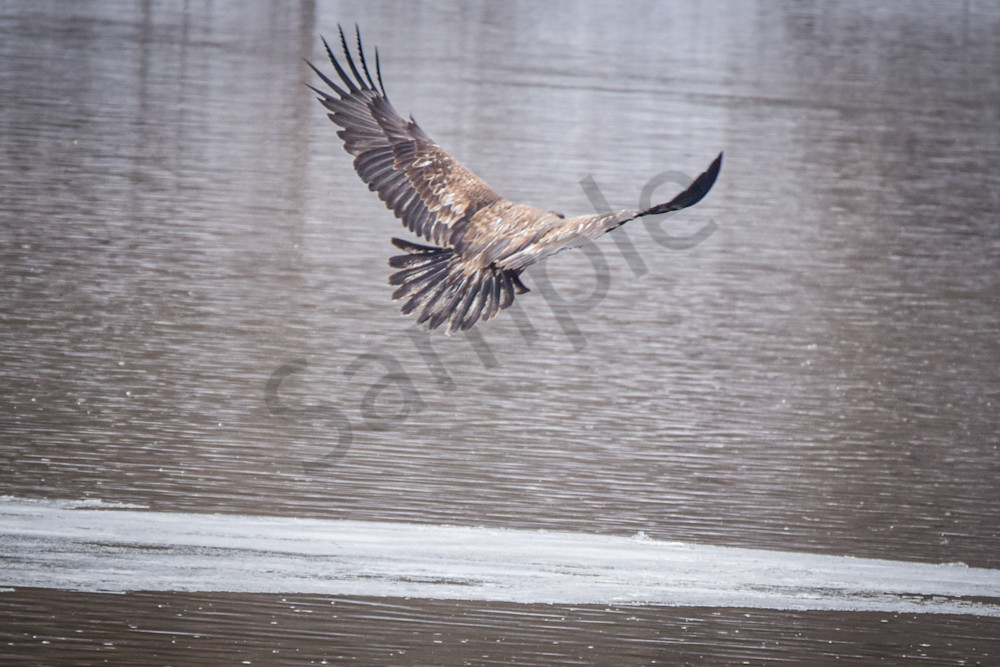 Dsc0631 Photography Art | Photos By Regan