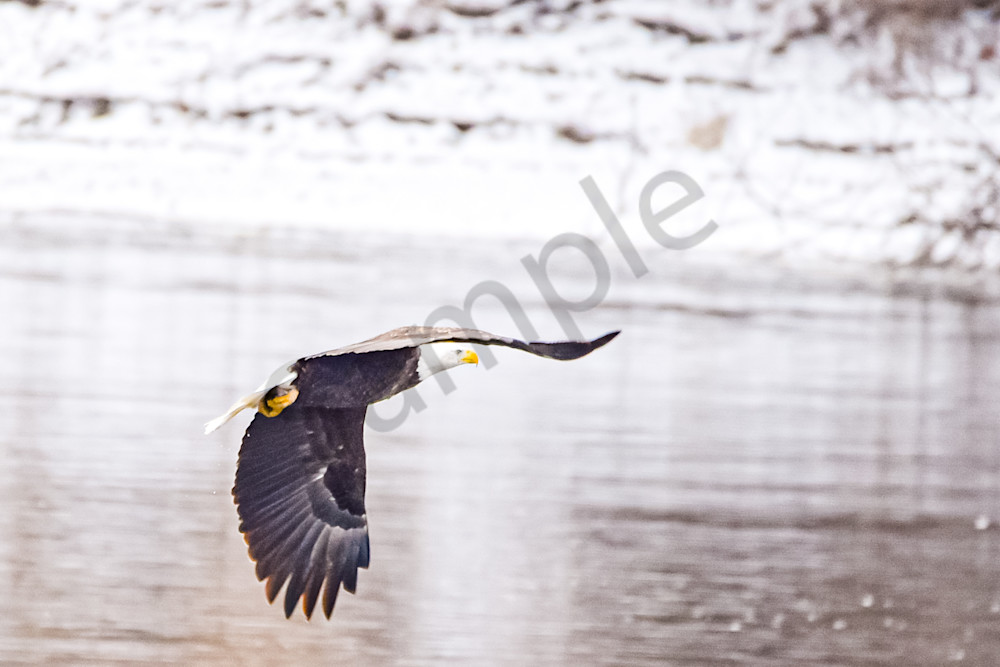 Dsc0694 Photography Art | Photos By Regan