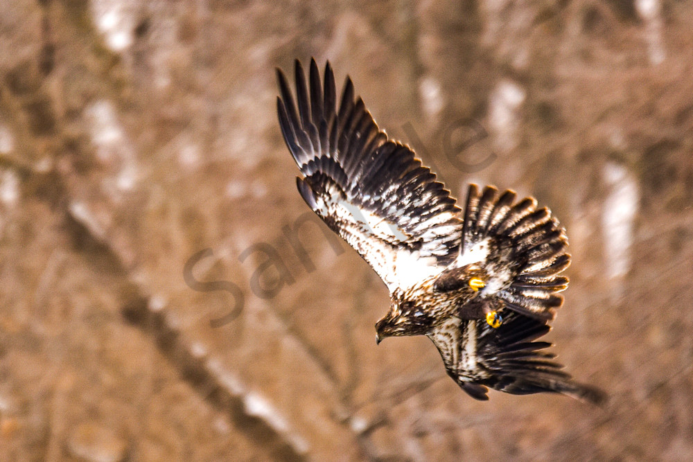 Dsc0723 Photography Art | Photos By Regan