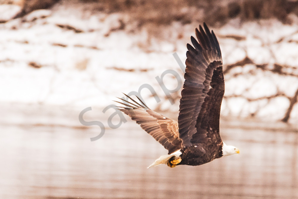 Dsc0695 Photography Art | Photos By Regan