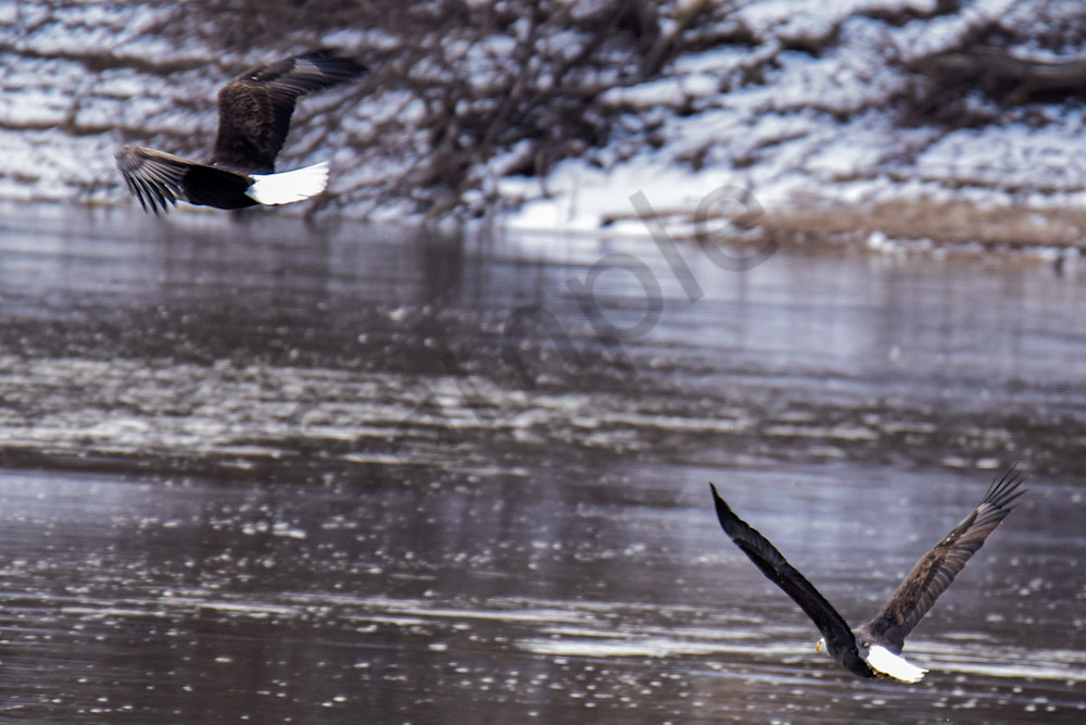 Dsc0819 Photography Art | Photos By Regan
