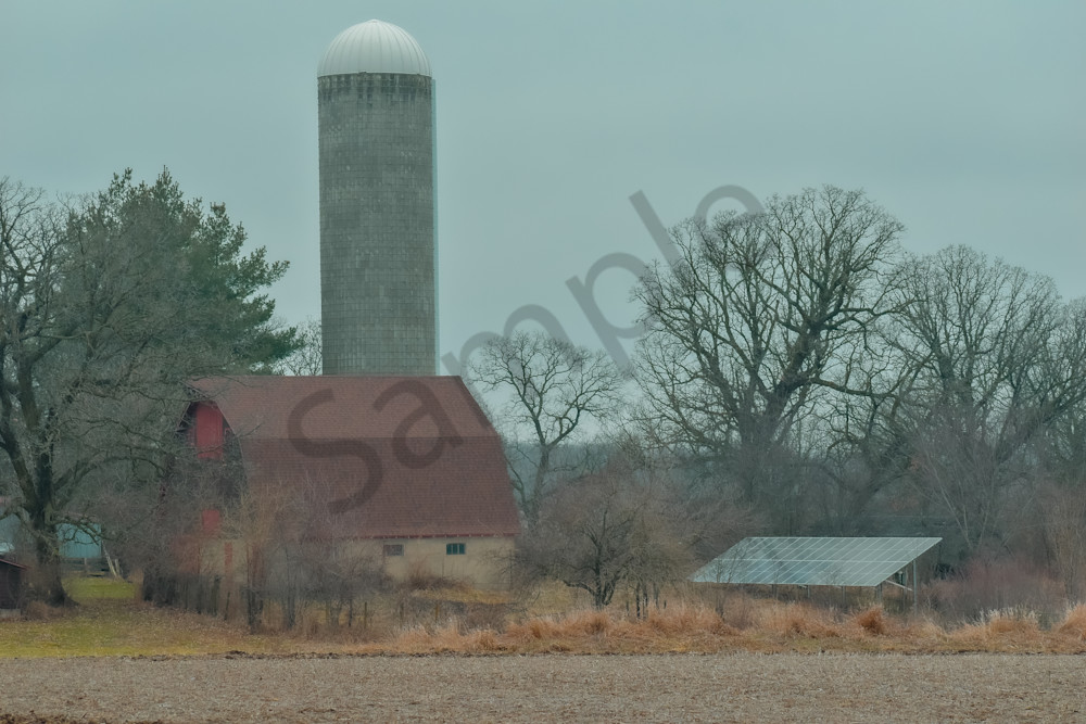 Dsc0040 2 Photography Art | Photos By Regan