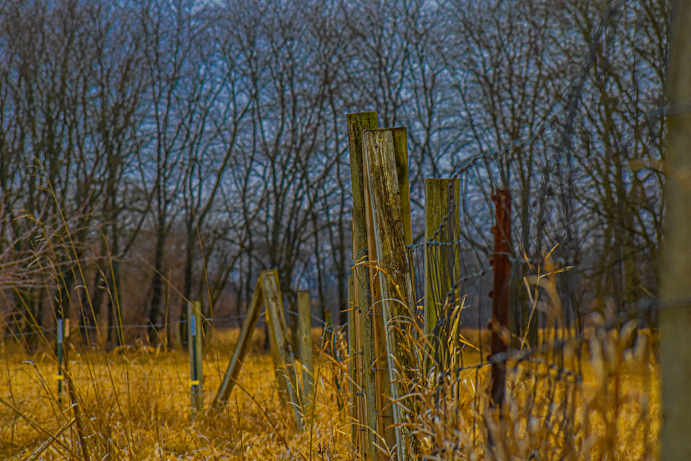 Dsc0008 10 Photography Art | Photos By Regan