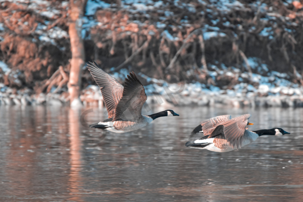 Dsc0439 Photography Art | Photos By Regan