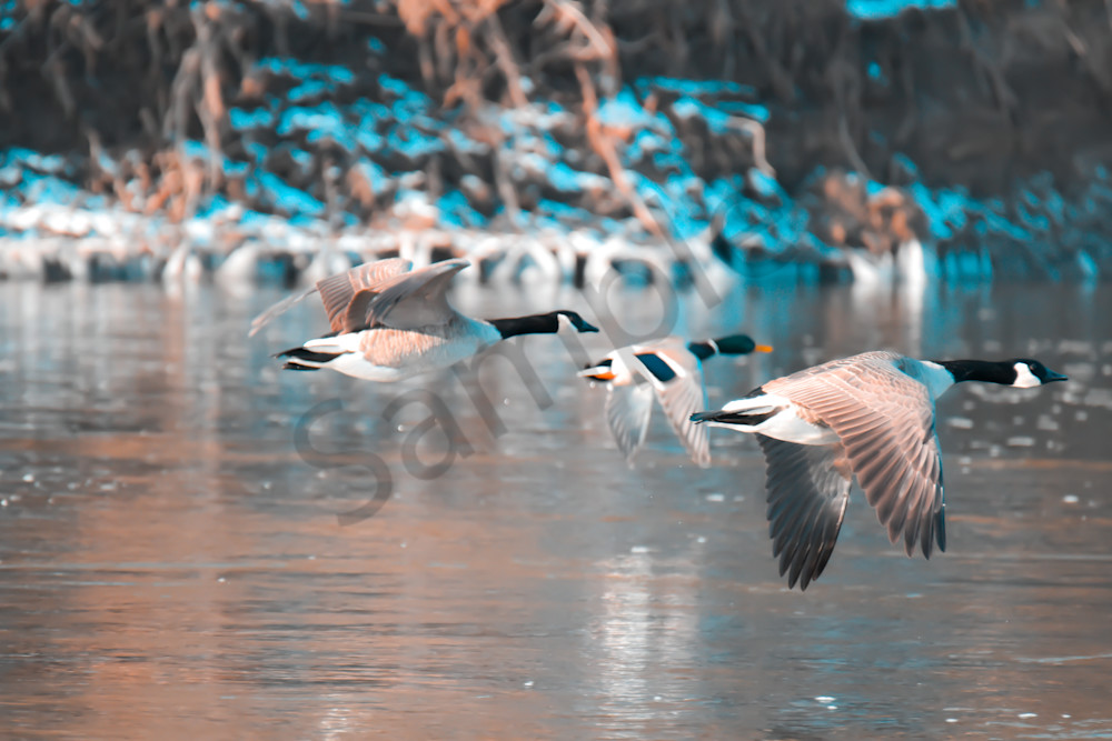 Dsc0440 Photography Art | Photos By Regan