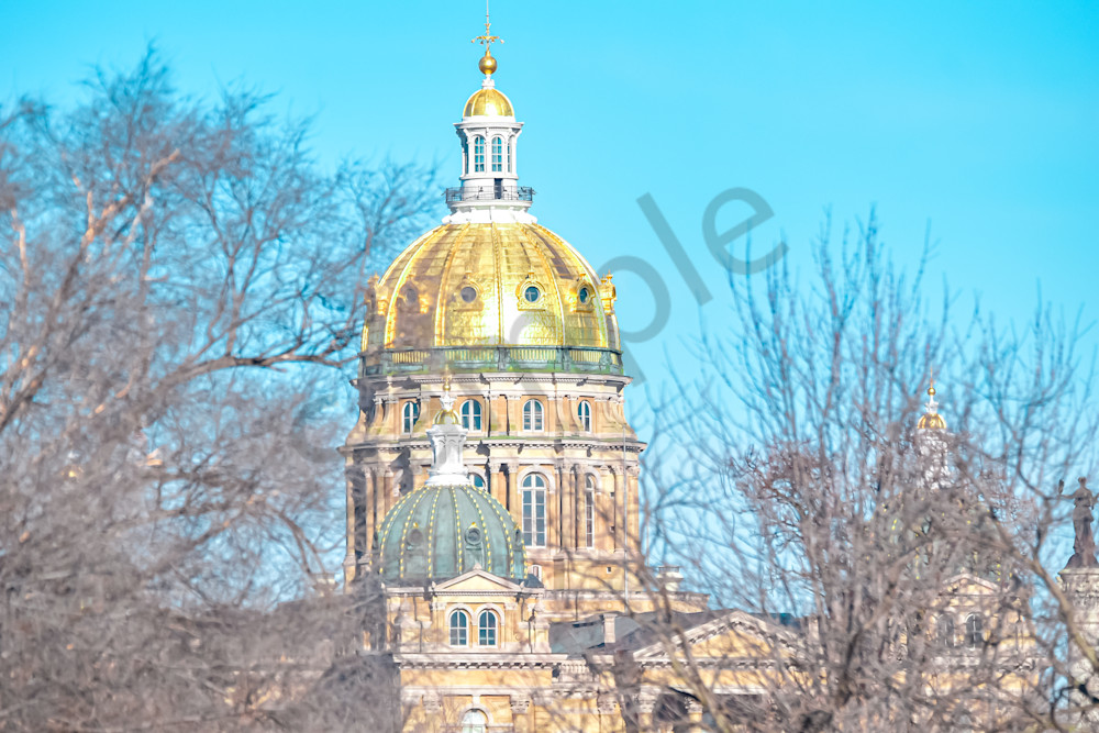 Dsc0240 2 Photography Art | Photos By Regan