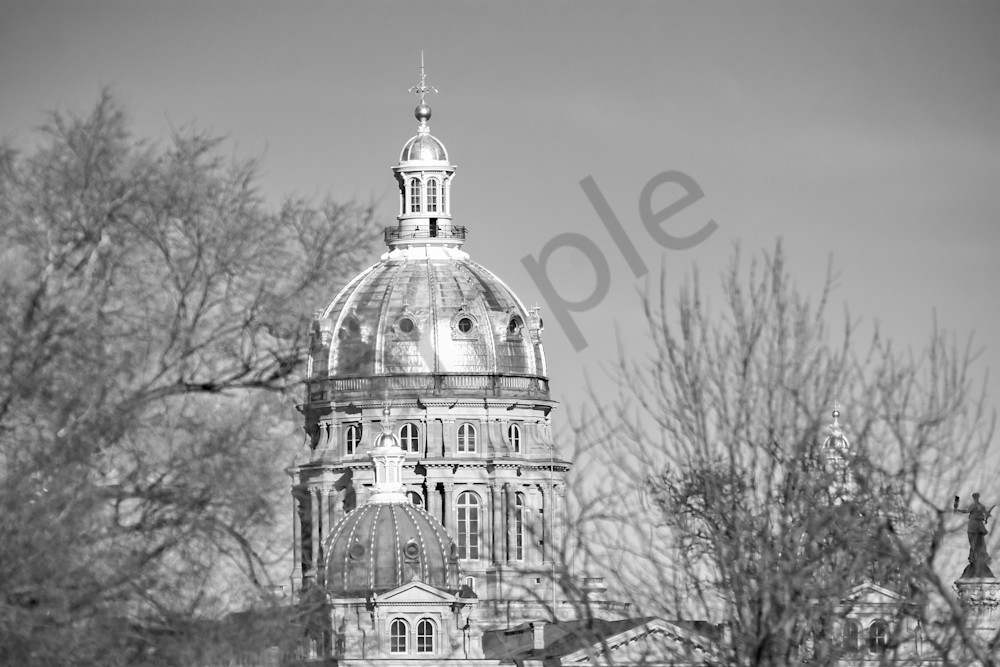 Dsc0241 Photography Art | Photos By Regan