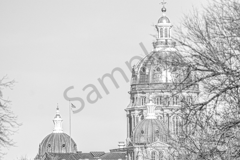 Dsc0243 Photography Art | Photos By Regan