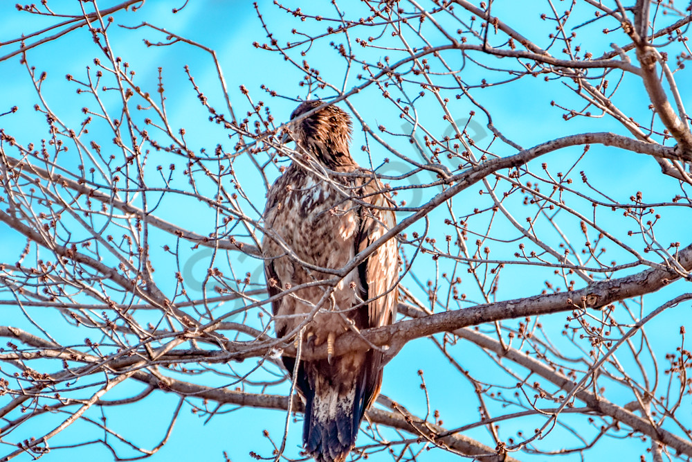 Dsc0247 Photography Art | Photos By Regan