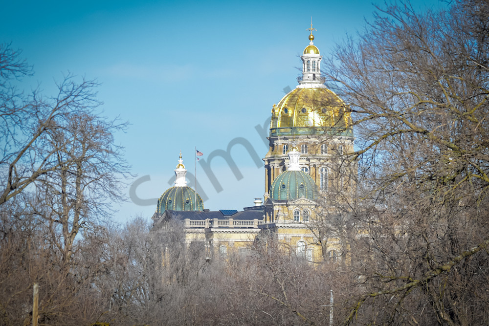 Dsc0244 2 Photography Art | Photos By Regan