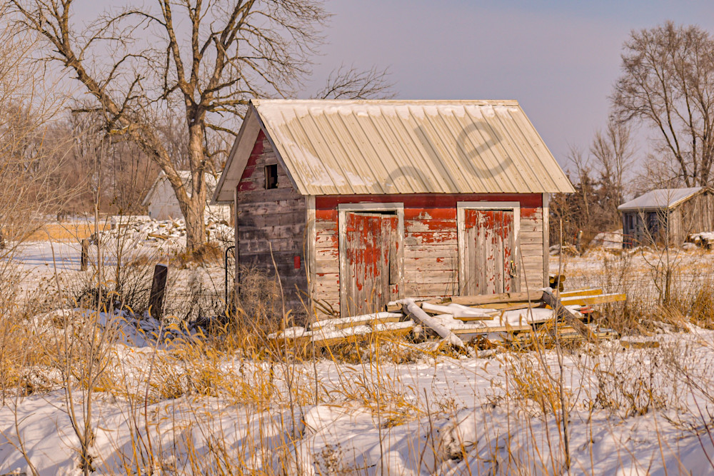 Dsc0005 Photography Art | Photos By Regan