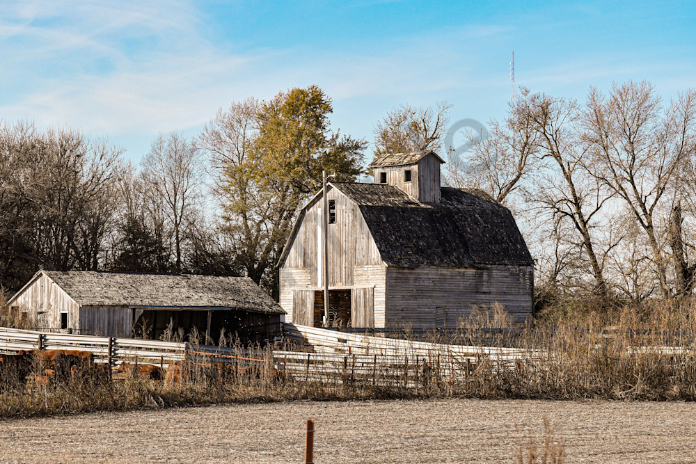Dsc0005 3 Photography Art | Photos By Regan