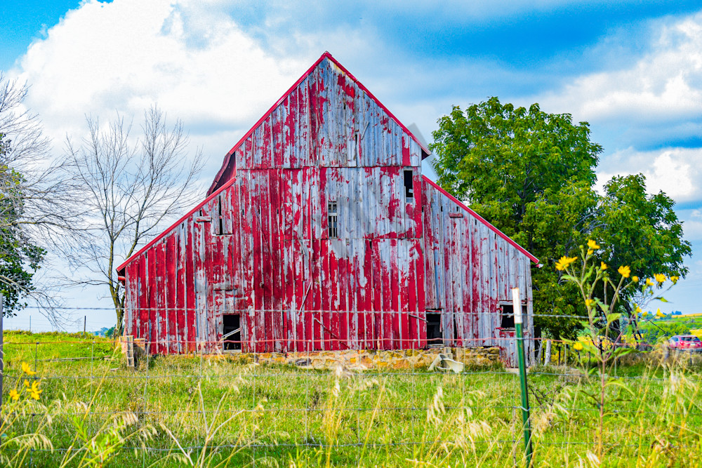 Dsc0005 5 Photography Art | Photos By Regan