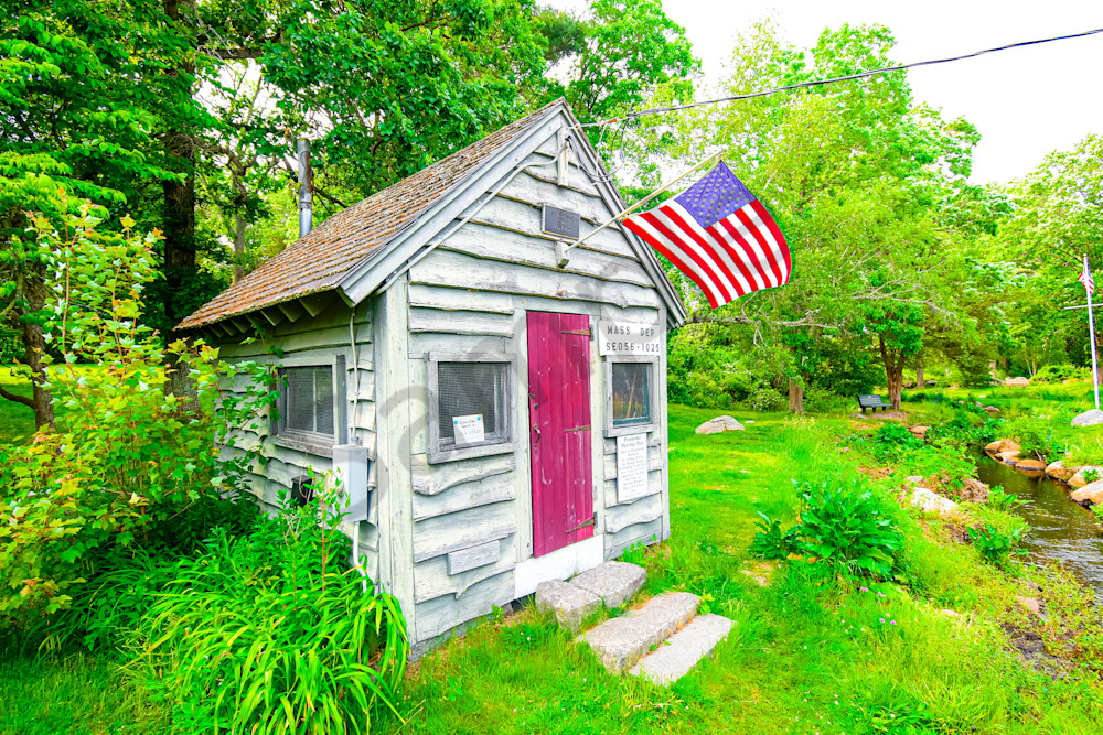 Dsc0006 2 Photography Art | Photos By Regan