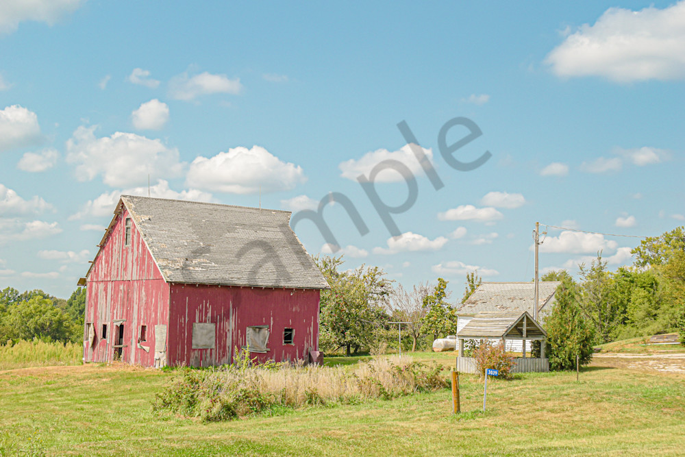 Dsc0005 4 Photography Art | Photos By Regan
