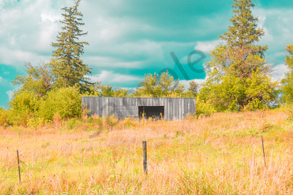 Dsc0010 4 Photography Art | Photos By Regan