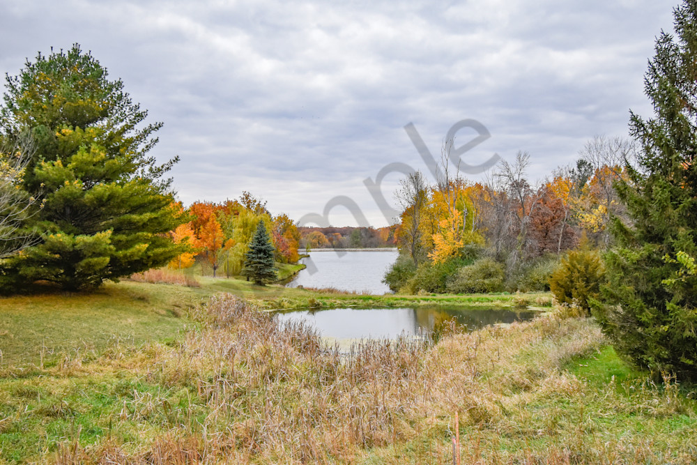 Dsc0011 3 Photography Art | Photos By Regan