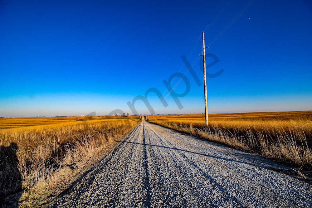 Dsc0010 3 Photography Art | Photos By Regan