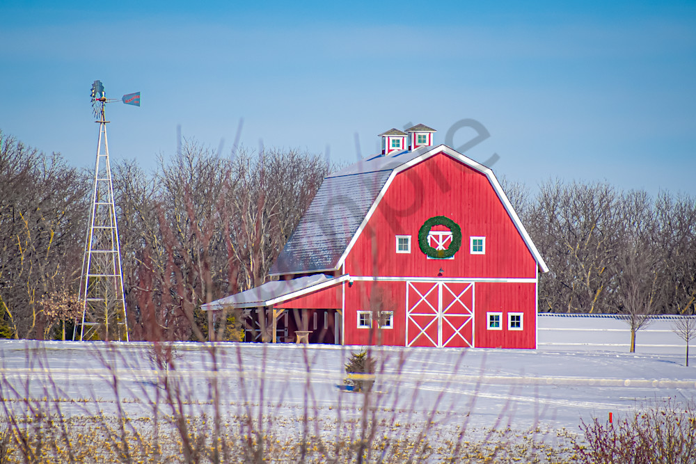 Dsc0013 2 Photography Art | Photos By Regan