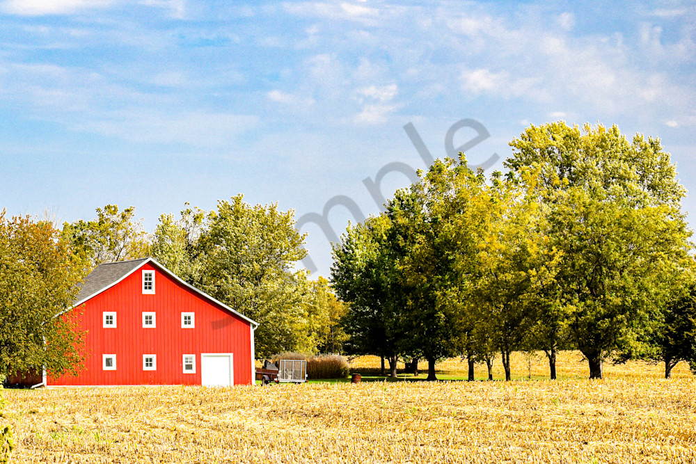 Dsc0015 Photography Art | Photos By Regan