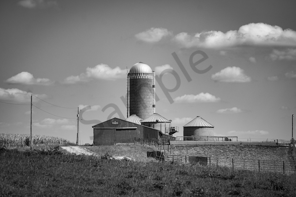 Dsc0016 Photography Art | Photos By Regan