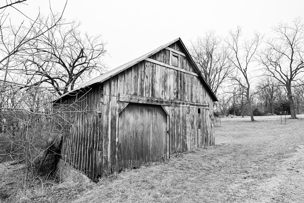 Dsc0013 Photography Art | Photos By Regan