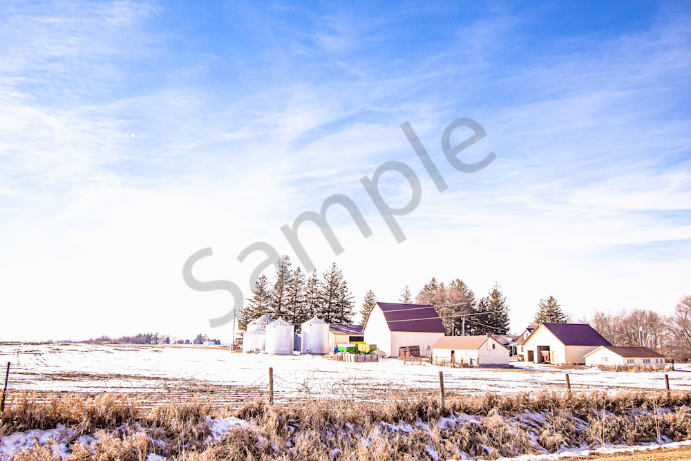 Dsc0015 2 Photography Art | Photos By Regan