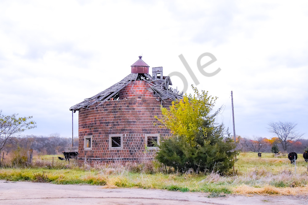 Dsc0023 Photography Art | Photos By Regan