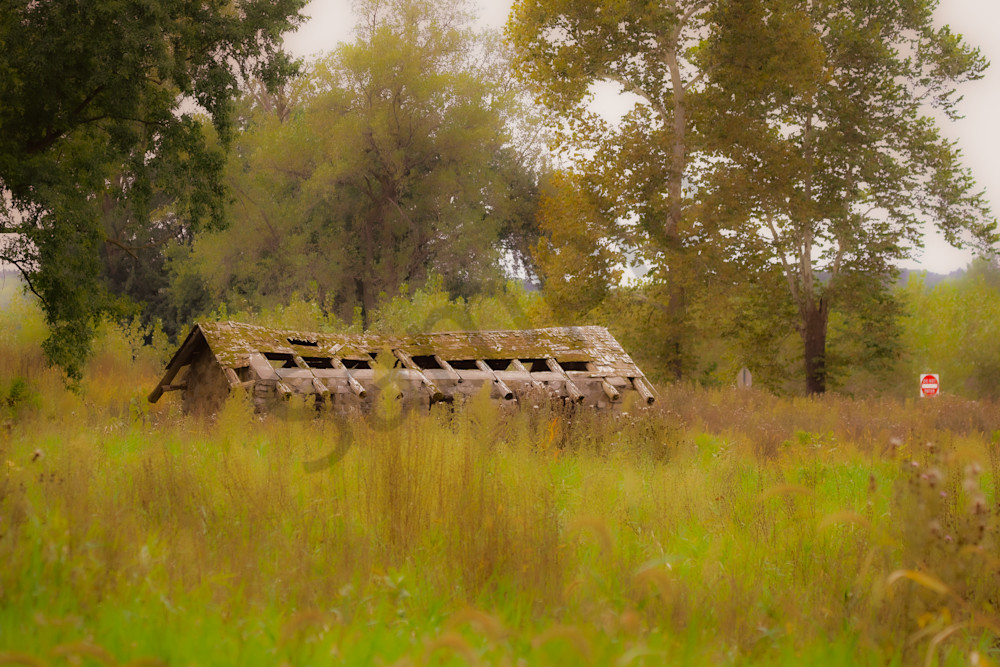 Dsc0027 Photography Art | Photos By Regan