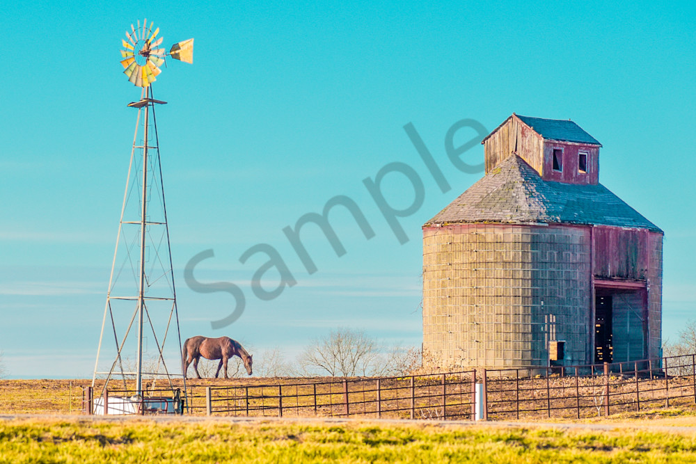 Dsc0033 2 Photography Art | Photos By Regan
