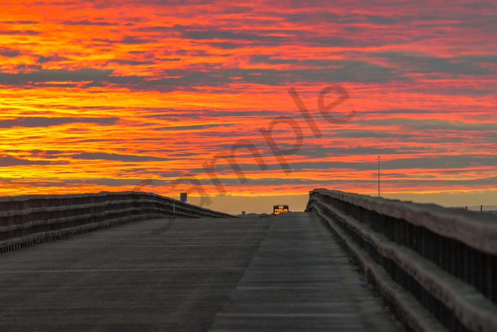 Dsc0031 Photography Art | Photos By Regan