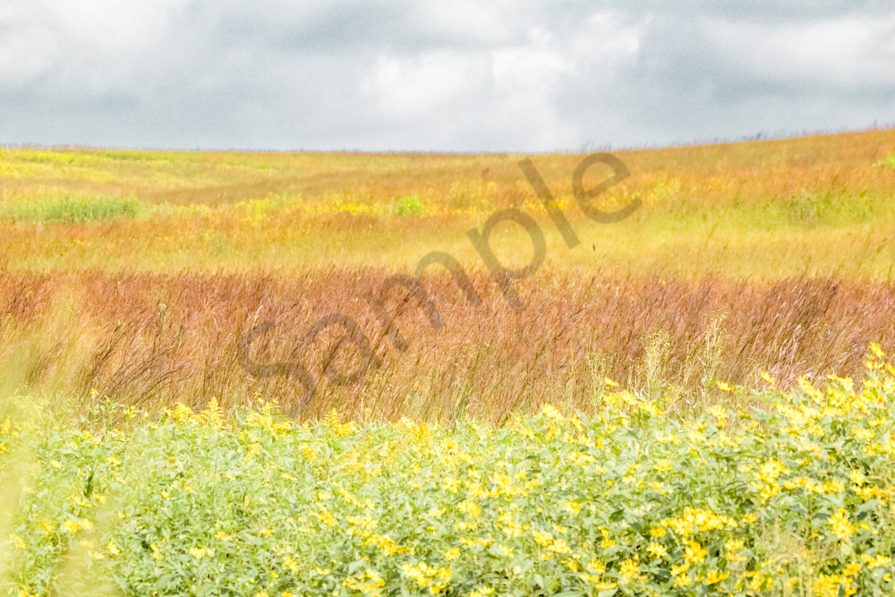 Dsc0029 Photography Art | Photos By Regan