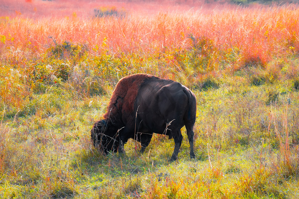 Dsc0030 2 Photography Art | Photos By Regan