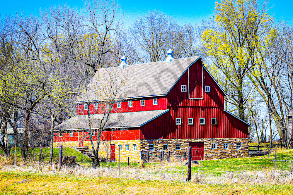 Dsc0028 Photography Art | Photos By Regan