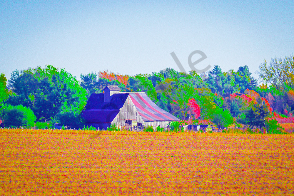 Dsc0034 2 Photography Art | Photos By Regan