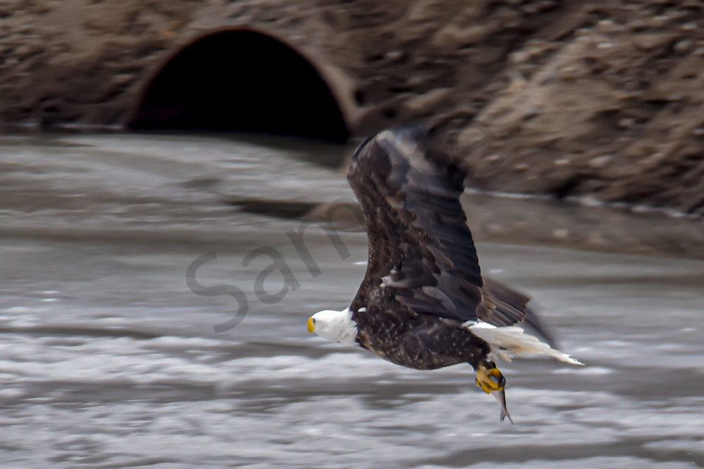 Dsc0038 Photography Art | Photos By Regan