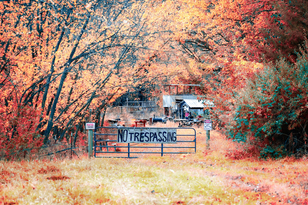 Dsc0036 2 Photography Art | Photos By Regan