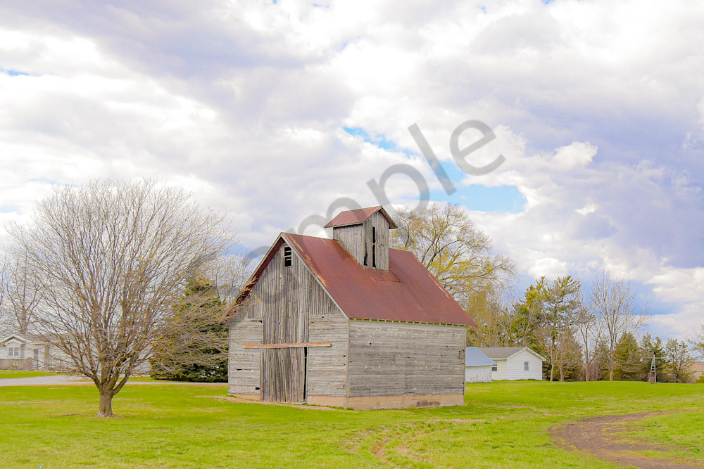 Dsc0042 Photography Art | Photos By Regan