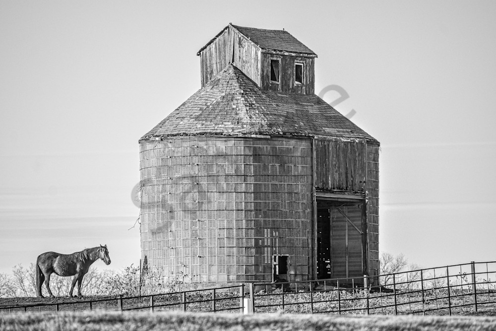 Dsc0037 2 Photography Art | Photos By Regan