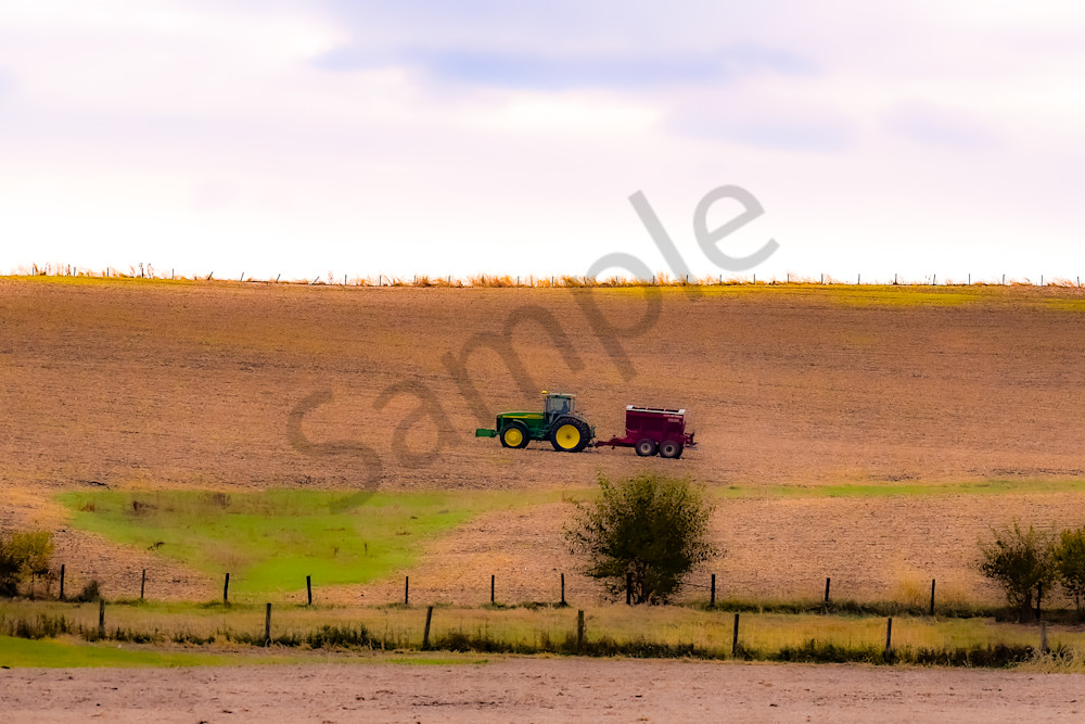 Dsc0045 3 Photography Art | Photos By Regan