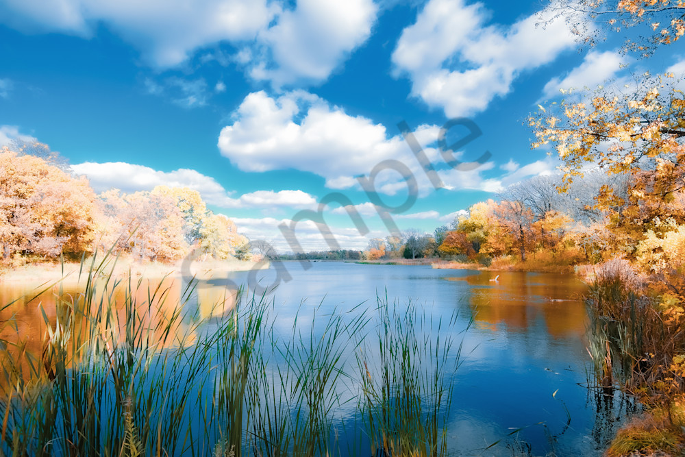 Dsc0048 Photography Art | Photos By Regan