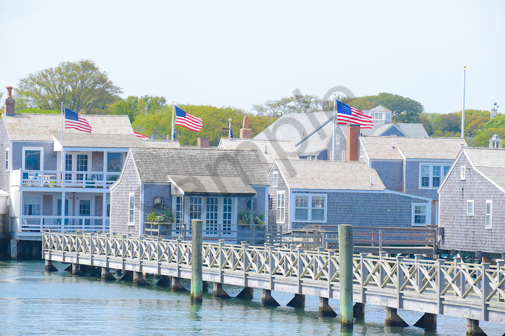 Dsc0049 2 Photography Art | Photos By Regan