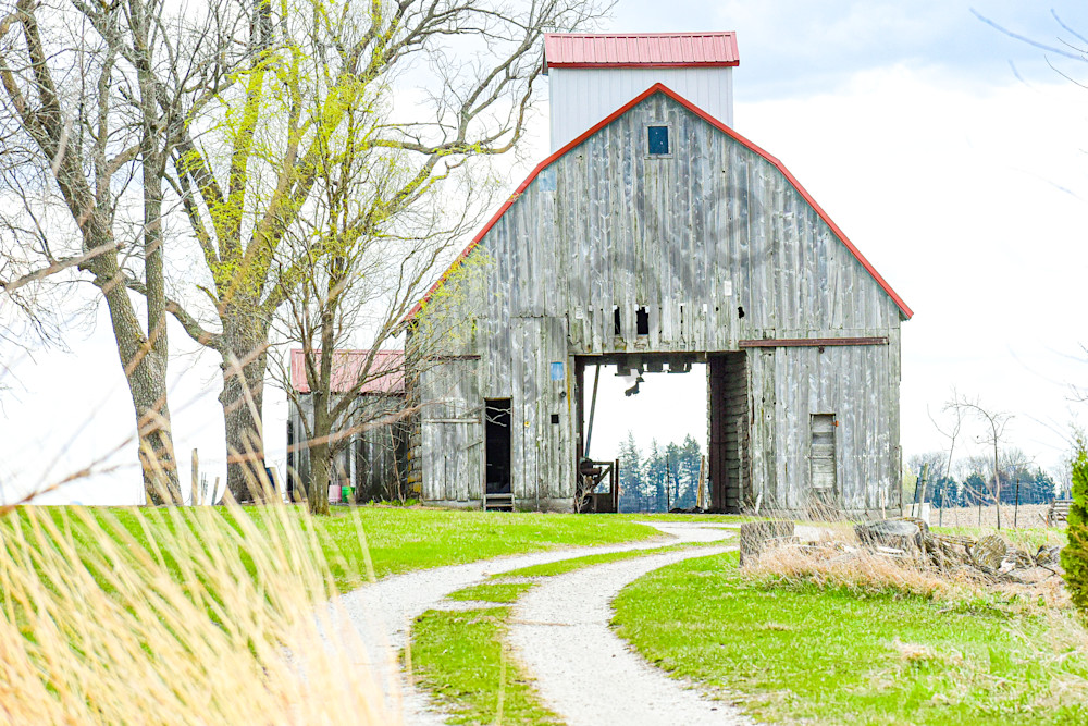 Dsc0058 Photography Art | Photos By Regan