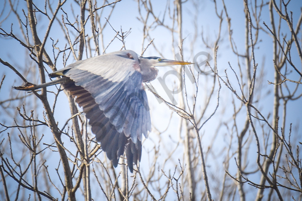 Dsc0104 Photography Art | Photos By Regan