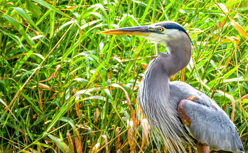 20250624 001648447 I Os 1 Photography Art | Photos By Regan