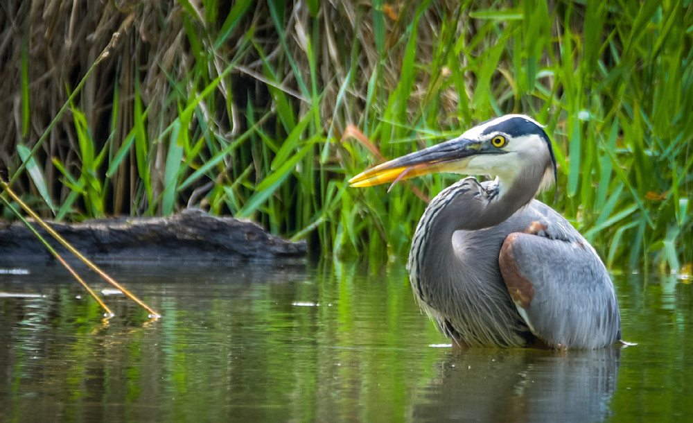 20250624 001653475 I Os 1 Photography Art | Photos By Regan