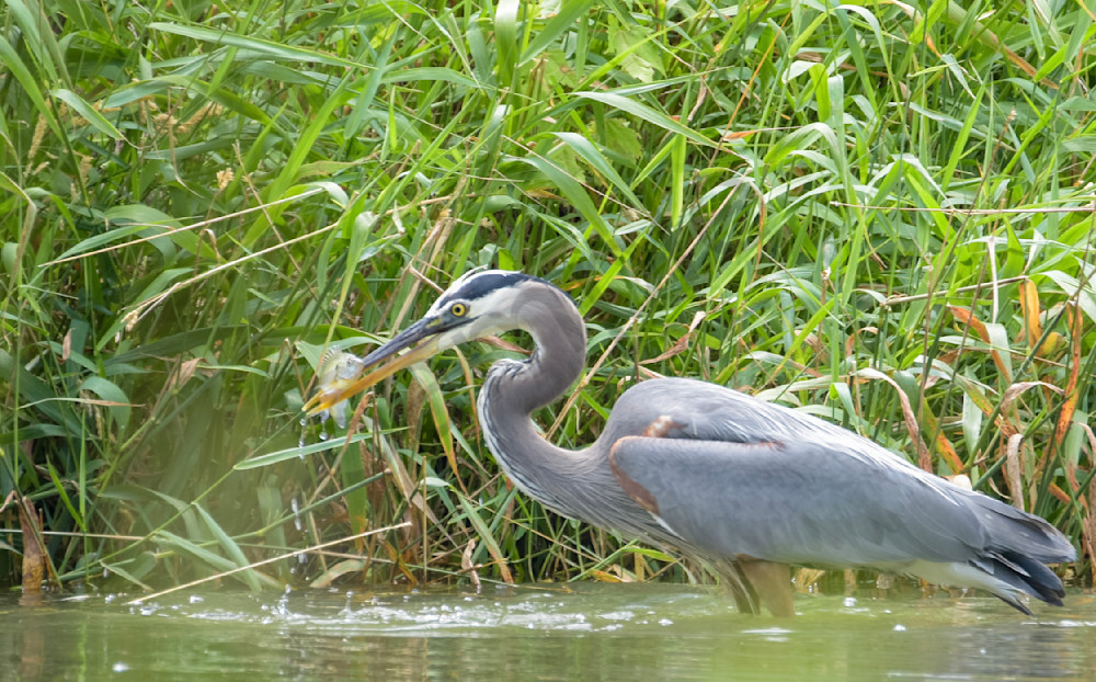 20250624 001652054 I Os Photography Art | Photos By Regan