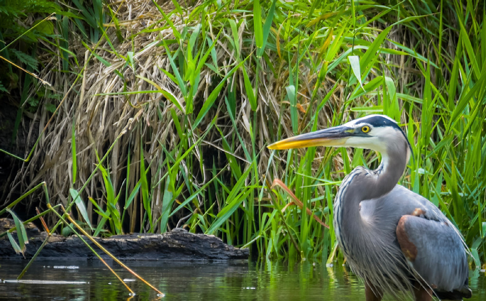 20250624 001654274 I Os Photography Art | Photos By Regan