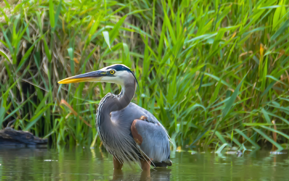 20250624 001654817 I Os Photography Art | Photos By Regan