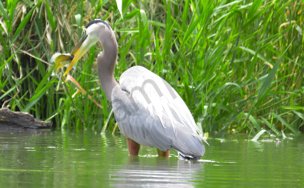 20250624 001655651 I Os 1 Photography Art | Photos By Regan